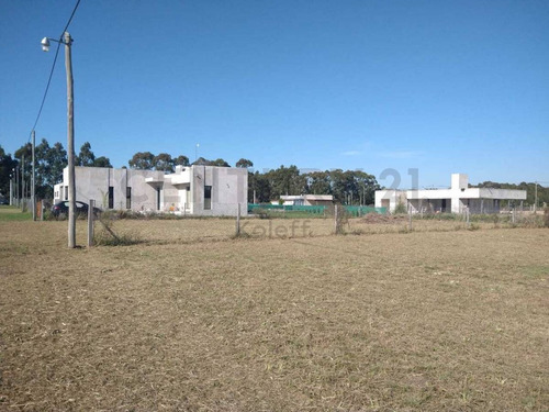 Imagen 4 de 6 de 650 Y 118, Lotes En Venta, Villa Parque Sicardi.-