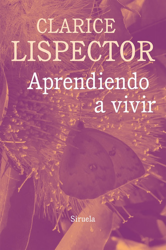 Aprendiendo A Vivir, Clarice Lispector, Siruela