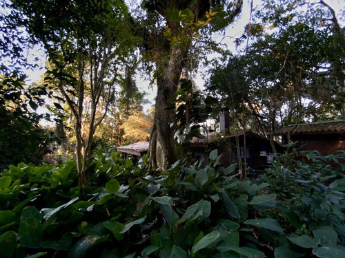 Imagem 26 de 30 de Casa À Venda Em Condomínio, 02 Dorms, Lagoa Da Conceição, Florianópolis Sc - Ca0133