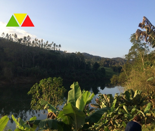Imagem 29 de 30 de Fazenda - Fa00039 - 69436986