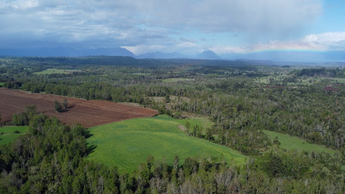 Campo En La Unión Cercano Al Lago Ranco 27,4 Hectáreas