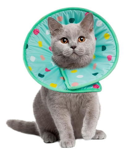 Gato Cono Perro Cono E Collar Anti Mordedura Lick M M
