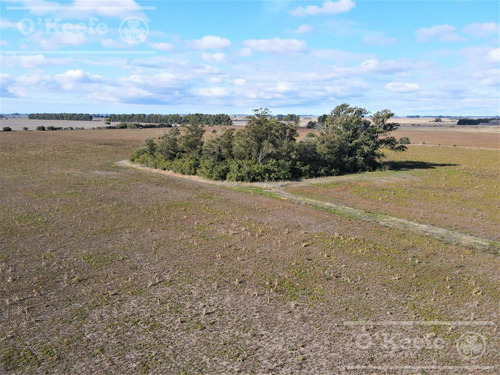 Imagen 3 de 18 de 33 Has En Venta - Chacra Agrícola Con Excelente Acceso