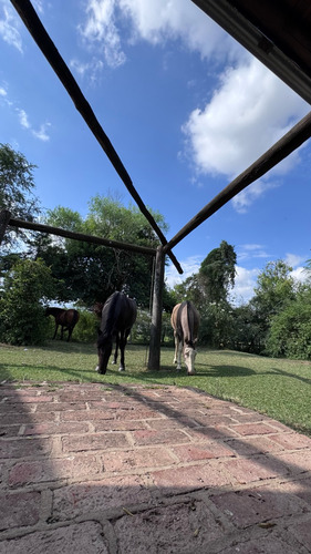 Vende Casa De Campo Con 3 Hectareas