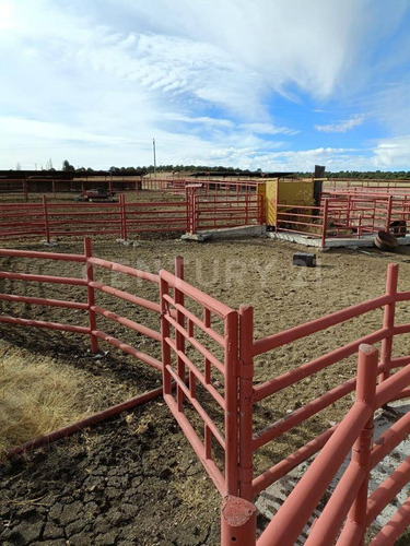 Imagen 6 de 24 de Rancho En Venta Cd. Guerrero, Chihuahua.