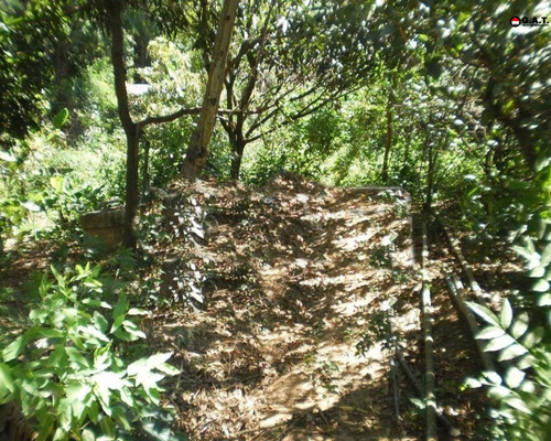 Imagem 8 de 9 de Chácara À Venda No Lopes De Oliveira - Sorocaba/sp - Ch00811 - 70683256