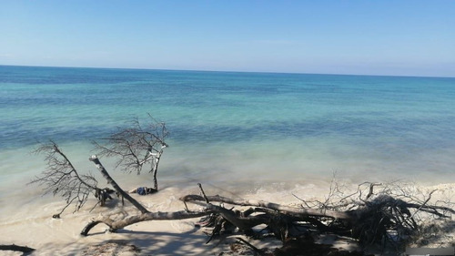 Terreno 4000 Metros Con 130 Lineales De Playa Perdernales 