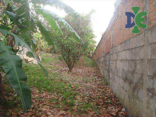 Imagem 1 de 7 de Terreno Para Alugar, 482 M² Por R$ 700,00/mês - Bandeira Branca - Jacareí/sp - Te0119