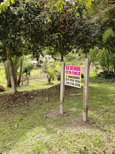 Finca La Esmeralda