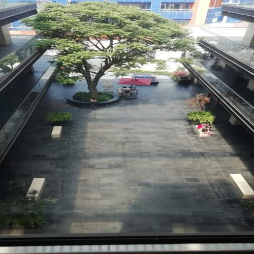 Local Comercial En Jacarandas, Cuernavaca, Morelos - Crb-986-lc