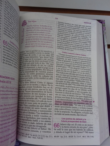 Imagen 7 de 8 de Biblia De La Mujer Conforme Al Corazón De Dios Rvr60 T/dura