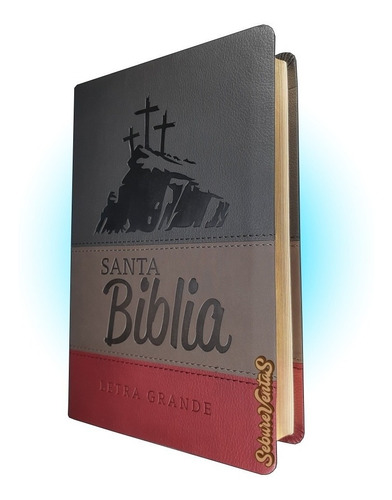 Biblia Letra Grande Reina Valera 95 Con Himnario Adventista