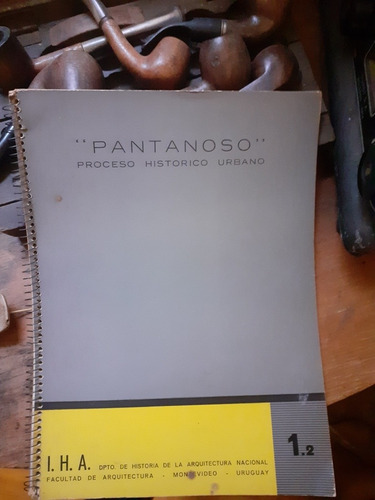 Pantanoso- Proceso Histórico Urbano/fac. Arquitectura 1958