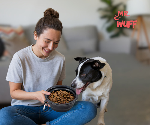 Plato Comedero Para Perro Plegable 155g Mr Wuff Color Negro