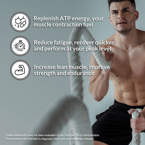 Pure Micronized Creatine Monohydrate - 100 Servings - 500 Gr