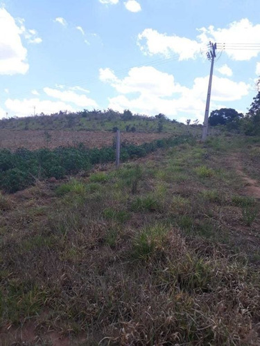 Imagem 25 de 27 de Sitio Campinas Antes Do Pedagio De Jaquariuna 46 Hectares - 42655