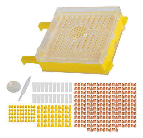 Kit De Sistema Apícola Para La Cría De Abejas Reinas Y Apicu