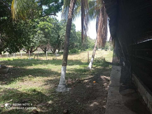 Imagen 17 de 17 de Finca De 12 Hectareas De Gallinas Ponedoras En Villa De Cura