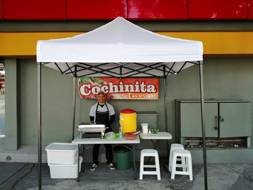 Taquizas De Cochinita Pibil A Domicilio