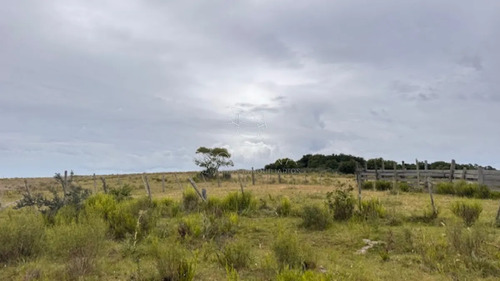 Campo 26 Has Sobre Camino Los Molles