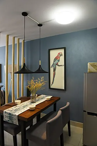 Empire Art Direct Tropical Parrot Dimensional