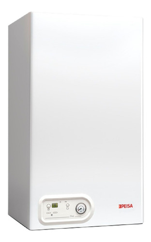 Caldera Diva C Calefacción Tiro Natural 24kcalh Peisa Cuotas
