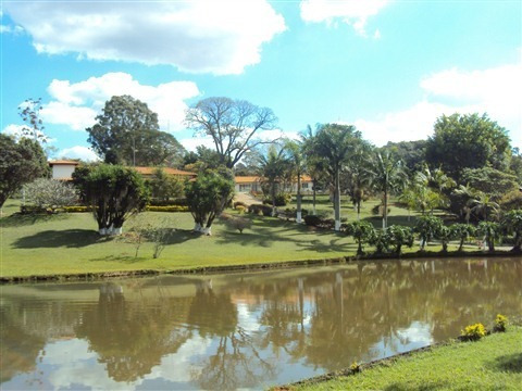 Imagem 16 de 30 de Area - Ar00019 - 1515828