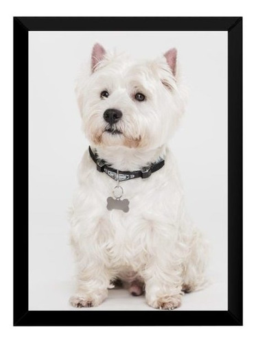 Quadro Decorativo White Terrier