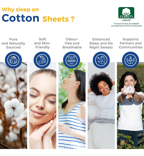 Sábana Ajustable Queen Size De Thread Spread - 100% Algodón