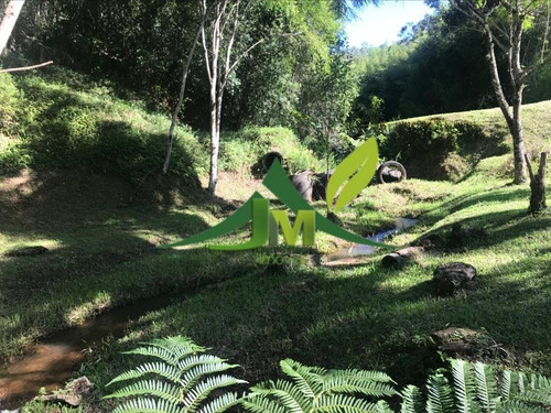 Sítio À Venda Com Cachoeira Em Piracaia - 4 Alqueires - 1463