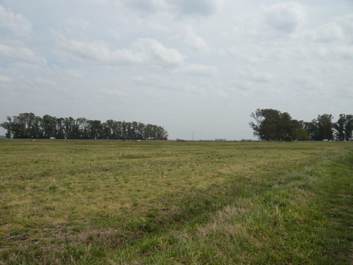 Imagen 7 de 17 de Campo En Cañuelas