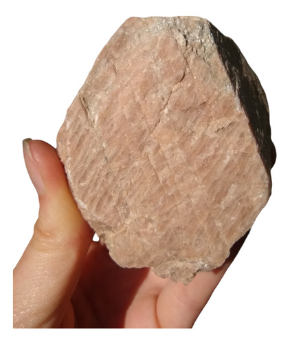 Cuarzo Rosa En Bruto + Rodaja De Tronco