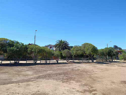 4 Cabañas A Pasos De La Playa. Punta De Tralca.