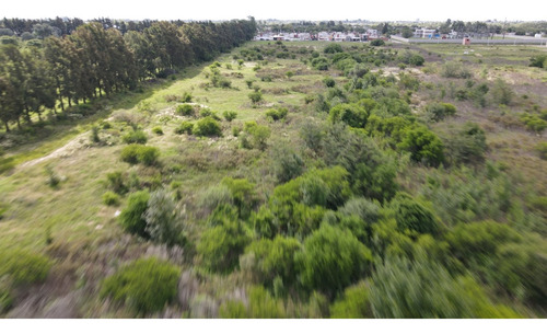 Chacra De 9,4 Hectáreas Con Arroyo En Gualeguaychú.