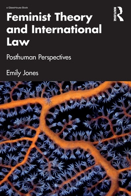 Libro Feminist Theory And International Law: Posthuman Pe...