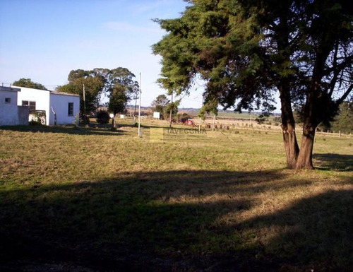 Imagen 3 de 13 de Venta De Chacra De 3has En Ruta 12
