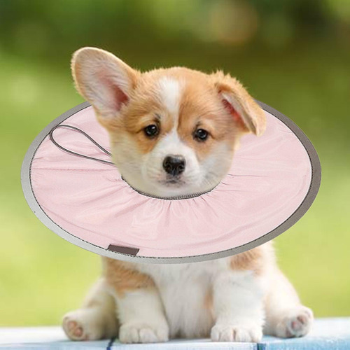 Collar De Recuperación Para Perros Cono Para Perros Cono Pro