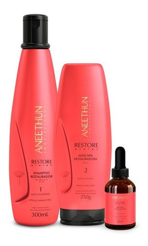 Kit Aneethun. Restore System Shampoo + Máscara + Booster