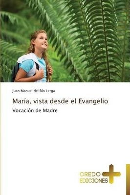 Libro Maria, Vista Desde El Evangelio - Del Rio Lerga Jua...