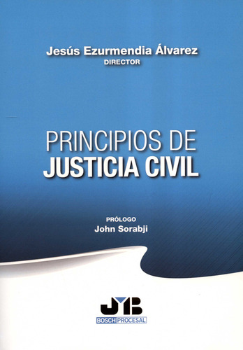 Principios De Justicia Civil