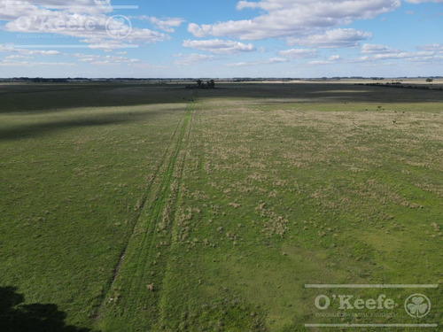 Imagen 4 de 18 de 520 Has - Campo En Venta En La Plata Zonificación Club De Campo