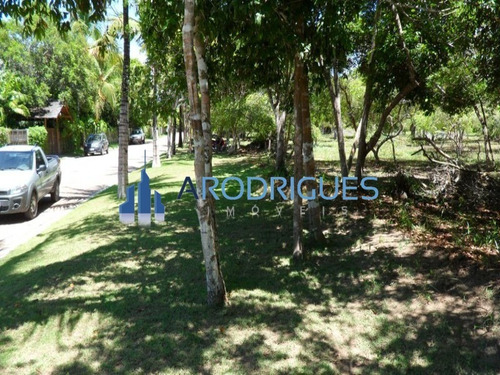 Imagem 9 de 20 de Ótimo Terreno À Venda Localizado Em Trancoso Todo Documentado E Levantamento Topográfico! - Te00126