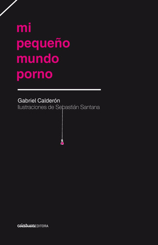 Libro Mi Pequeño Mundo Porno De Gabriel Calderón
