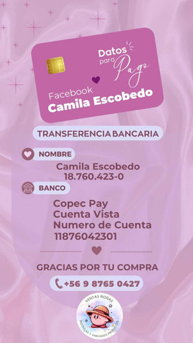 Flayer , Logos , Imagen Con Datos De Pago . Todo Digital