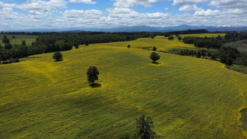 Terreno Agricola 105 Ha, Sta Barbara (21587)