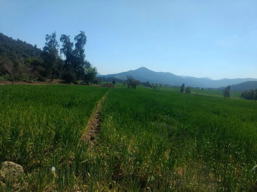Hermosa Parcela En Teno Rebajada
