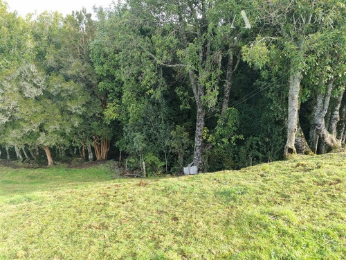 Imagen 16 de 19 de Sitio En Venta En Los Muermos