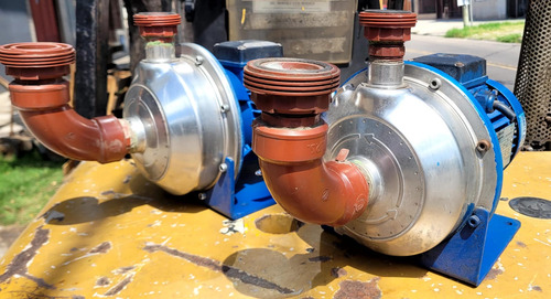 Bomba Inoxidable Lowara 0.75hp Cerveza Leche Químicos Indust Azul 50 Trifásica (Usado)
