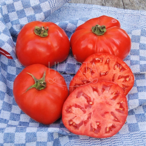 Semillas Tomate Heinz! El Original Del Ketchup Famoso