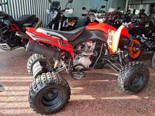 Imagen 14 de 16 de Motomel